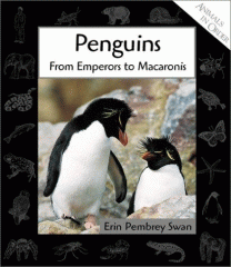 Penguins : from emperors to macaronis