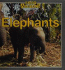 Elephants