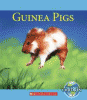 Guinea pigs