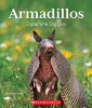 Armadillos : dynamite diggers