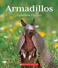 Armadillos : dynamite diggers