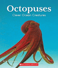 Octopuses : clever ocean creatures