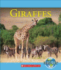 Giraffes