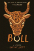 Book cover of Bull : a novel