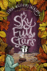 A sky full of stars