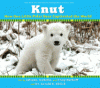 Knut : how one little polar bear captivated the world