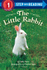 The little rabbit