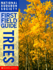 National Audubon Society first field guide. Trees