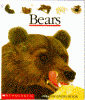 Bears