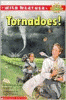 Wild weather. Tornadoes!