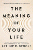 The meaning of your life : finding purpose in an age of emptiness
