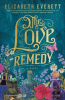 The love remedy : a novel
