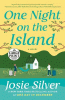 One night on the island : a novel