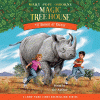 Rhinos at recess