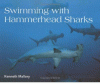 Swimming with hammerhead sharks