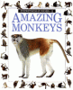 Amazing monkeys