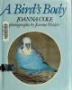 A bird's body