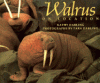 Walrus