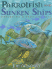 Parrotfish and sunken ships : exploring a tropical reef