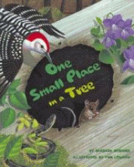 One small place in a tree