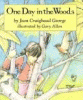 One day in the woods