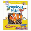 Tropical fish.