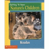 Koalas