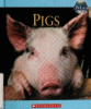 Pigs