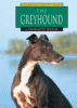 The greyhound