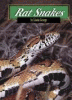 Rat snakes