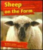 Sheep on the farm