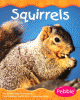 Squirrels
