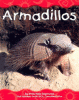 Armadillos