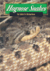 Hognose snakes