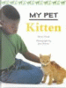 Kitten