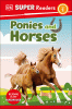 Ponies and horses