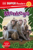 Monkeys.