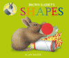 Brown Rabbit's shapes