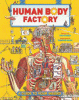 Human body factory : the nuts and bolts of your insides!