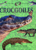 Crocodiles