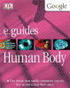 Human body