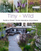 Tiny + wild : build a small-scale meadow anywhere