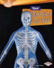 Your skeletal system