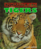 Tigers