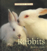 Rabbits