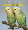 Small birds