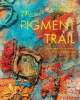 The Pigment Trail : Inspiration from the Colors, Textures, and People of India