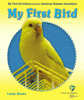 My first bird