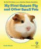 My first guinea pig and other small pets