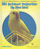 Mi primer pajarito = My first bird